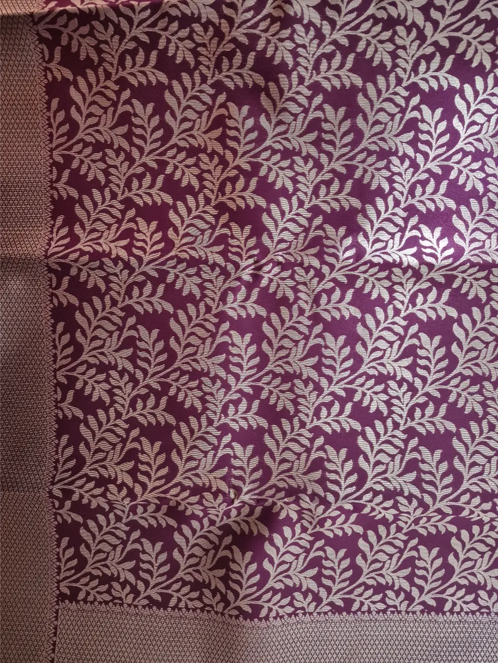 plum ivy